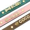 Individuelles Hundehalsband 3