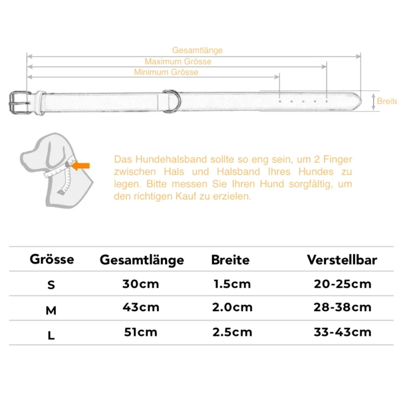 Individuelles Hundehalsband 6 Individuelles Hundehalsband 6